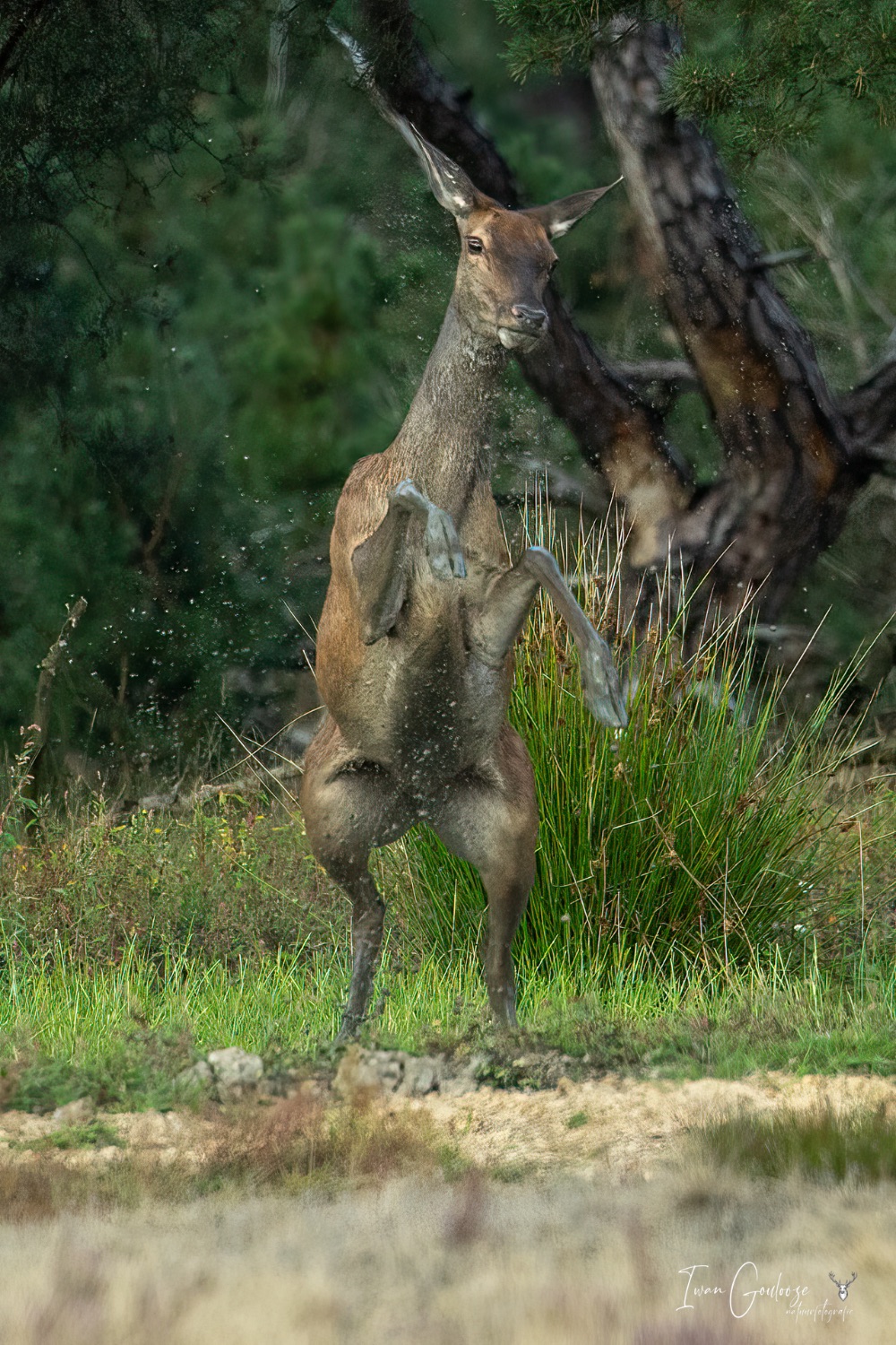 02 september 2023 171812  R2A4417 bewerkt